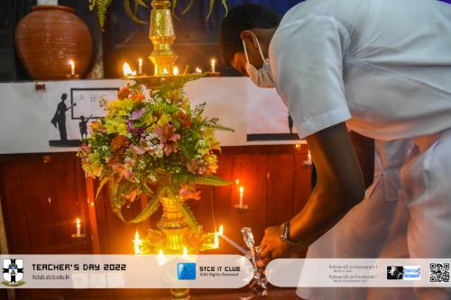 DSC 7374